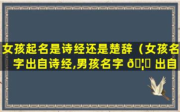 女孩起名是诗经还是楚辞（女孩名字出自诗经,男孩名字 🦁 出自楚辞）